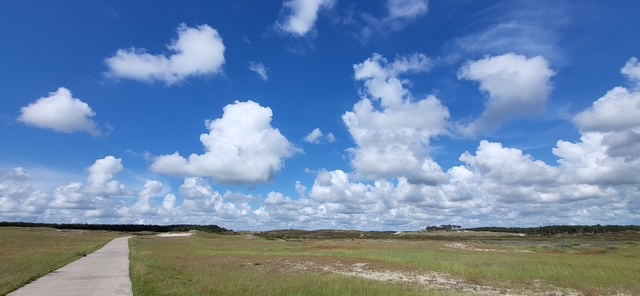 Zen.nl, Zen, meditatie, leren mediteren, foto
